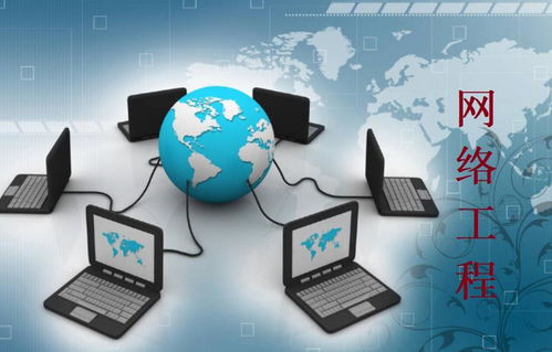 網(wǎng)絡(luò)工程與技術(shù)開發(fā) 數(shù)字時(shí)代的基石與引擎